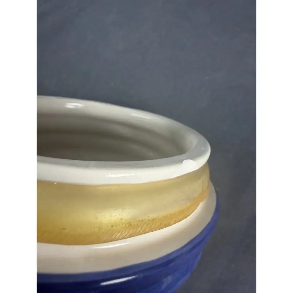 Vintage Hand Painted Ceramic Blue & White Grapes Leaves Canister Jar Designpac